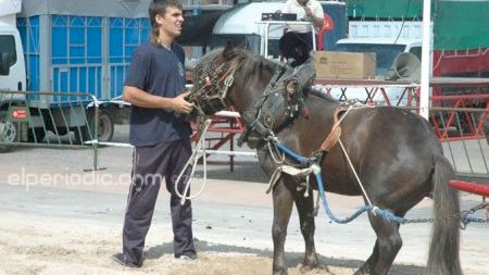 Concurso de tiro y arrastre