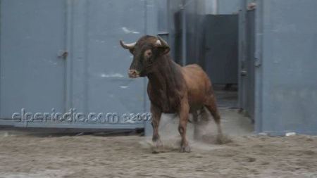 Toro tarde 1-9-07 - Fiestas MDG