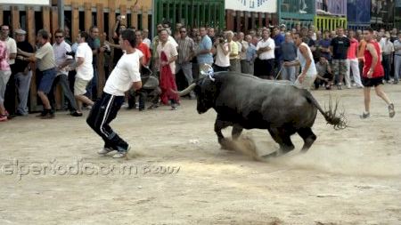 Fiestas patronales 2007 :: Toro tarde día 6
