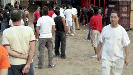 Fiestas patronales 2007 :: Toro tarde día 8