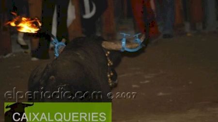 Fiestas patronales 2007 :: Toro Embolado Día 9