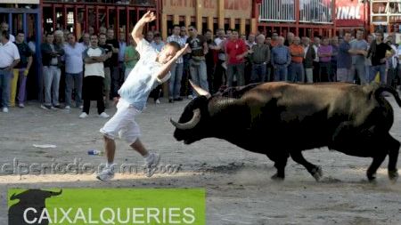 Fiestas patronales 2007 :: Toro tarde día 13