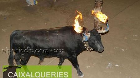 Fiestas patronales 2007 :: Toro embolado día 13