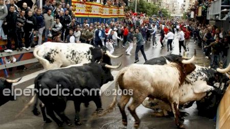 Fiestas San Pascual 2008 - Encierro 10/05/2008
