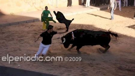 Festes de Sant Pasqual 09 - Encierro dia 16
