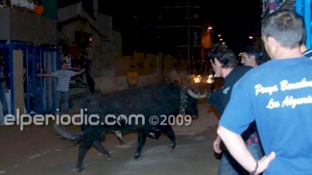 Fiestas Patronales 2009 - Toro embolado