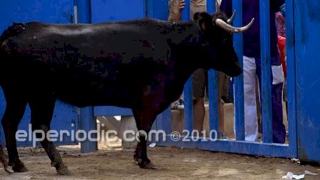 Festes Octubre - Encierro chicas