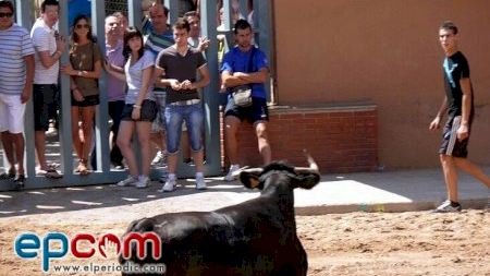 MDG 2011 - Toros Lunes 5