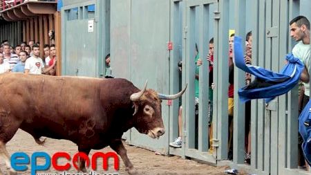 Vila-real - MDG 2012 - Toro tarde día 4