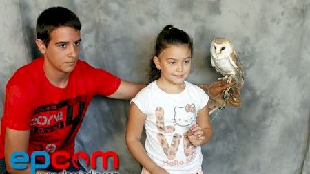 Vila-real - MDG 2012 - Día de la Foto y las Aves