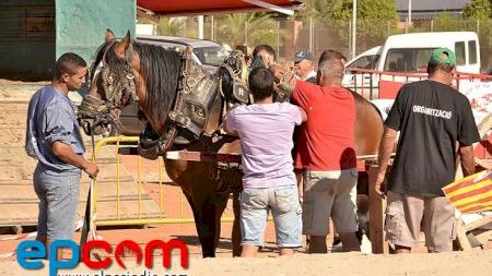 Nules - 66ª Feria Agrícola - Tiro y arrastre