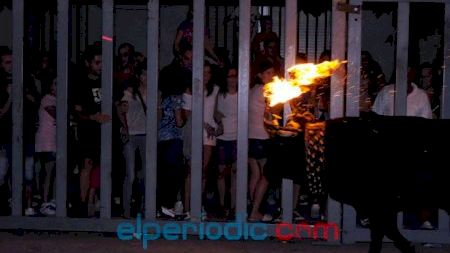 Vila-real - MDG - Encierro Toros Embolados