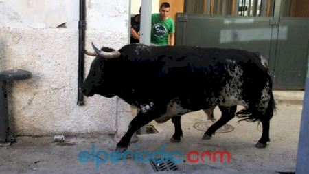 Almassora - Festes del Roser 2013 - Encierro