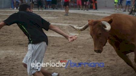 Burriana - Misericordia 2014 - Toro miércoles tarde