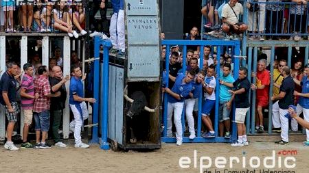 Burriana - Misericordia 2015 - Cogida Toro sábado tarde