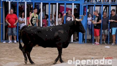 Burriana - Misericordia 2015 - Toro Viernes tarde