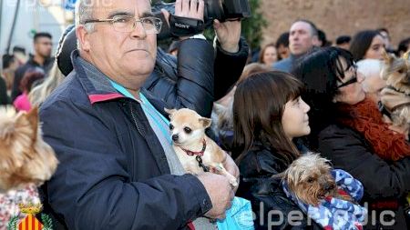 Vila-real - Festes de Sant Antoni - 2016