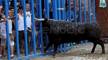 Burriana - Misericordia 2016 - Toros Ayto. y Penya de Penyes