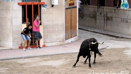 Burriana - Misericordia 2016 - Toro Penya L'Eixida
