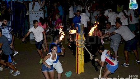 Burriana - Misericordia 2016 - Toro Embolado Lunes