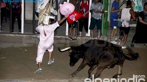 Burriana - Misericordia 2016 - Vacas Enfundadas Burriana - Misericordia 2016 - Vacas Enfundadas