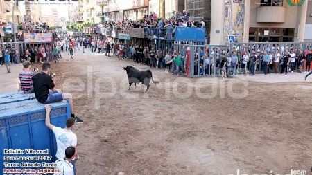 Vila-real - SP2017 - Toros Sábado