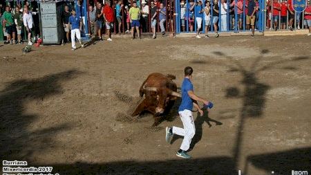 Burriana - Misericordia 2017 - Cerril Sábado Tarde