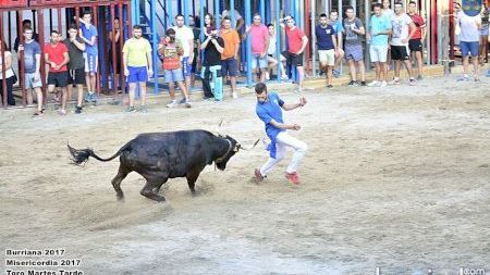 Burriana - Misericordia 2017 - Toro Martes Tarde