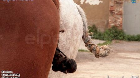 Burriana - Sant Blai 2018 - I Ruta a Cavall