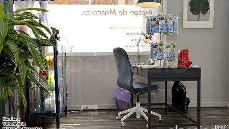 Burriana - Veterinária - Metge de Mascotes