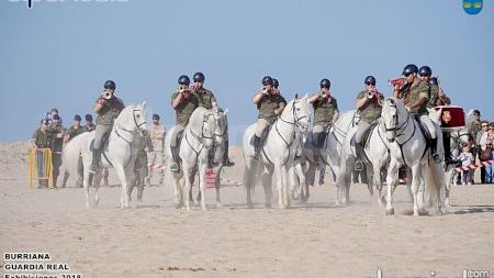 Burriana - Guardia Real - Exhibiciones 2