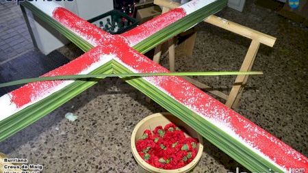 Burriana - Cruces de Mayo - Visita oficial a la plantà