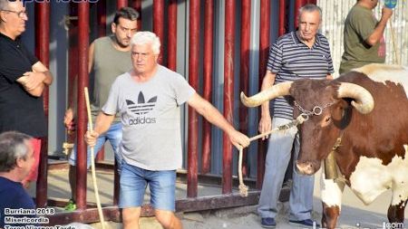 Burriana - Misericordia 2018 - Toros Viernes Tarde