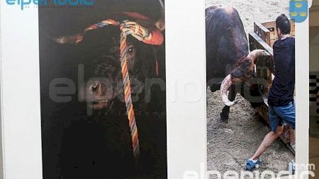 Burriana - Misericordia 2016 - Exposiciones