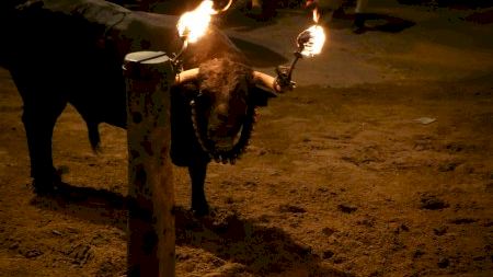 Vila-real - Sant Pasqual 19 - Bou embolat dimarts