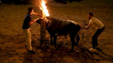 Vila-real - Sant Pasqual 19 - Bou embolat dissabte