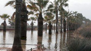 Consecuencias del Temporal Gloria en Burriana