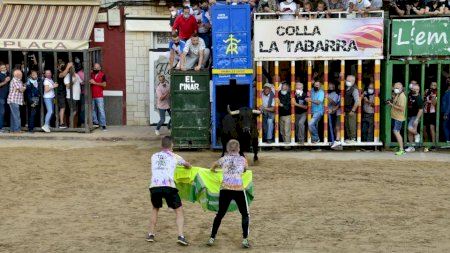 Moncofa - Sant Antoni 2021 - Bou cerril