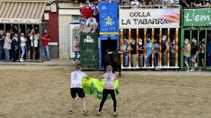 Moncofa - Sant Antoni 2021 - Bou cerril