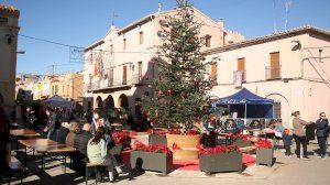 Fira d'Hivern de Moncofa