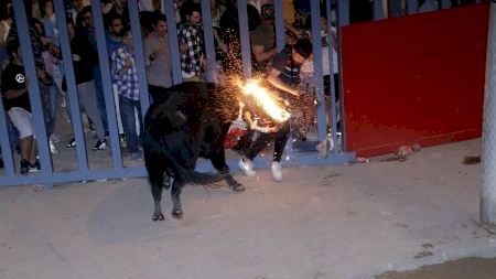 Vila-real - Sant Pasqual 2022 - Bou embolat 14/05