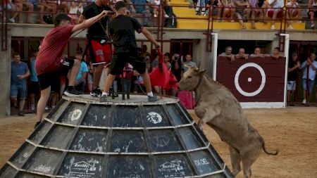 Encierro estilo oropesino y exhibición de toros y vaquillas