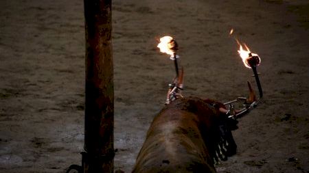 Mare de Déu de Gràcia 2023. Bou embolat 02/09