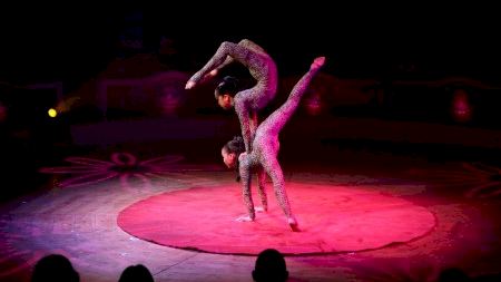 Circ Raluy: In art we trust