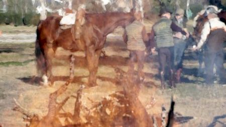 Cercavila Sant Antoni Port de Borriana 2024