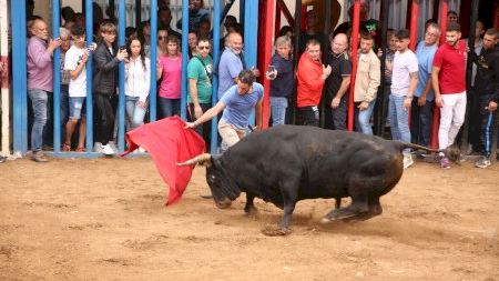 Santa Quitèria 2024. Bou per la vila 18/05