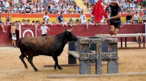 Exhibició bous i vaquillas Orpesa