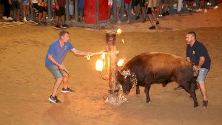 Mare de Déu de Gràcia 2024. Bou embolat dissabte 31/08