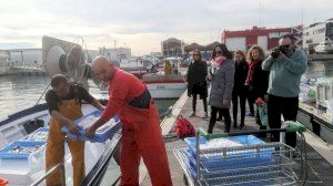 Turismo pesquero en el Puerto de Valencia