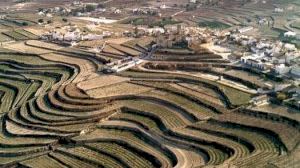 El Poble Nou de Benitatxell trabaja en un ambicioso plan de paisaje que armonizará toda la estética urbana - (foto 4) El Poble Nou de Benitatxell trabaja en un ambicioso plan de paisaje que armonizará toda la estética urbana - (foto 4)